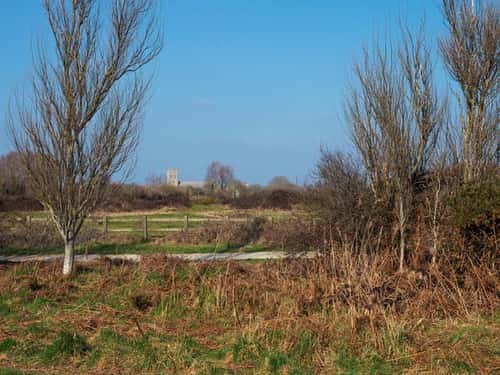 Rough grassland and trees beside the Stour Valley Way with Christchurch Priory beyond, Dorset, England, UK, March