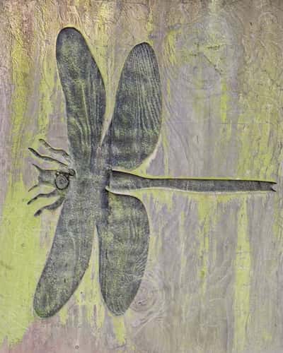 Dragonfly artwork carved into wooden viewing screen overlooking RSPB Goosemoor Nature Reserve, Exe Estuary, Topsham, Devon, UK, January