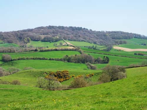 Burstock Down and farmland near Broadwindsor, Dorset, England, UK, April