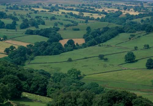 Mixed farmland landscape, Yorkshire