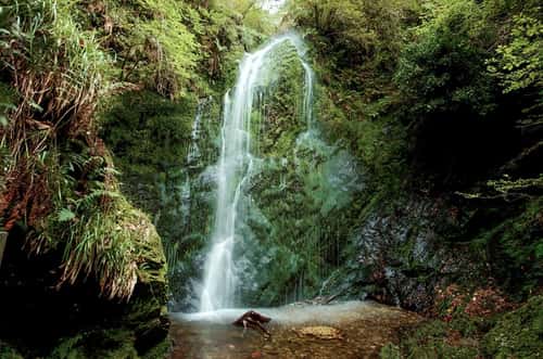 Mossy waterfall, cascade falls over ravine into a plunge pool, Dhoon Glen, Isle of Man, March