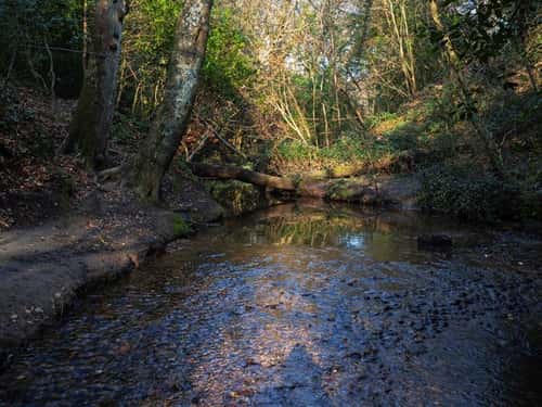 Walkford brook running through Chewton Bunny Nature Reserve, Highcliffe, Dorset, England, UK, March