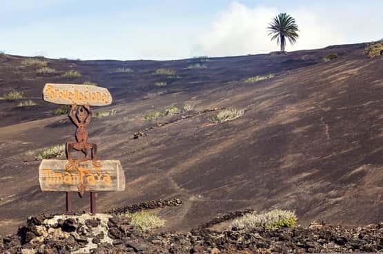 Timanfaya Parque sign on volcanic slopes with distant Caary palm Phoenix canariensis rising from the ashes on the horizon, Timanfaya Parque Nacional, Lanzarote, Canary Islands, November