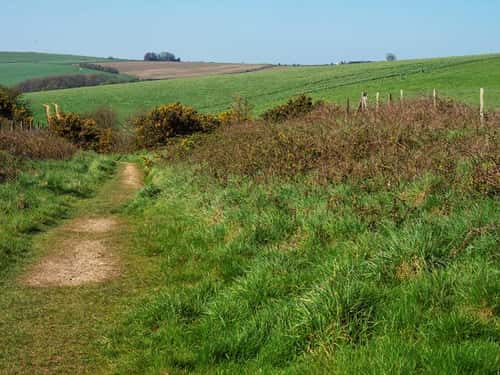 Footpath through farmland beside Maiden Castle Iron Age Hill Fort, near Dorchester, Dorset, England, UK, April