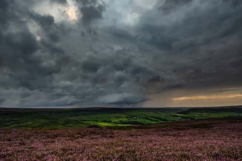 Thunderstorm over purple heather moorland early evening, showing beginnings of a funnel cloud in the distance, North Yorkshire Moors National Park, August 2019
