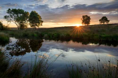 Sunrise on a beautiful calm morning on Cannock Chase, Cannock, England, August