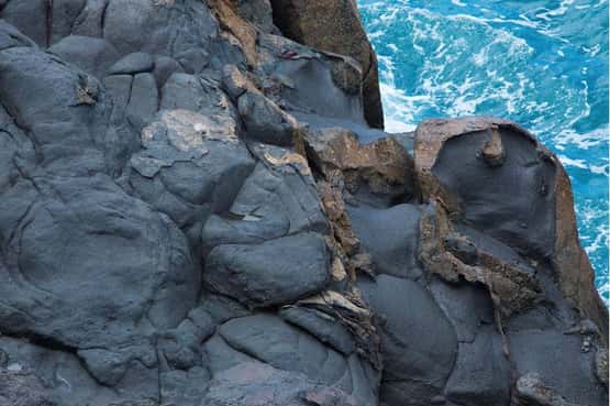 Pillow basalt, rounded humps of basaltic lava formed when lava erupts underwater, Los Gigantes, Tenerife, canary Islands, April