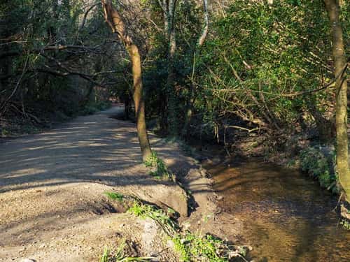 Walkford brook and footpath through Chewton Bunny Nature Reserve, Highcliffe, Dorset, England, UK, March