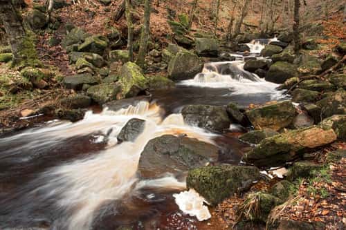 Waterfalls and stream cascade in a small woodland valley, Burbage Brook, Peak District National Park, Derbyshire, February, editorial use only