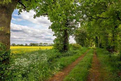 Country trail running alongside a field, Orgeave, Lichfield, England, May