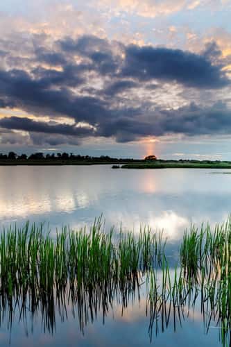 View of lake and reedbed with storm clouds at sunset, Langford Lowfields Nature Reserve, Langford, Nottinghamshire, June