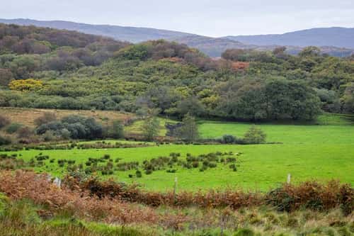 Rough grassland, pasture, woodland and hills, Islay, Scotland, UK, October